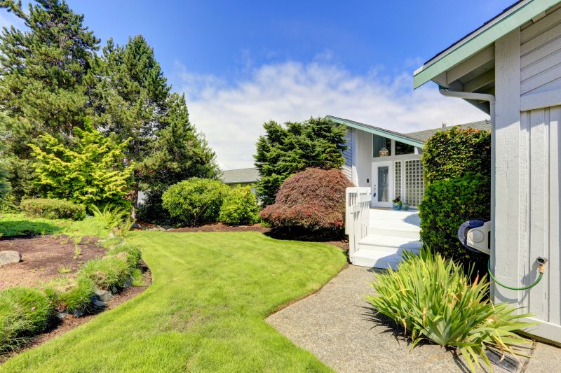 Aesthetic Enhancement